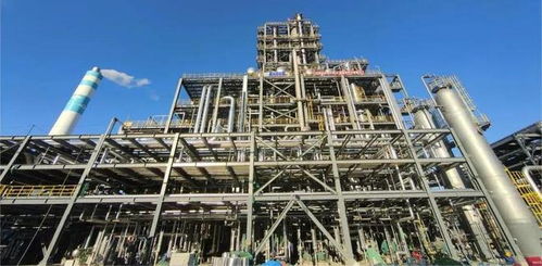 總投資200億元 恒力石化大連項目推動新一輪重要動態(tài)