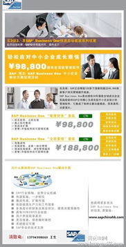 深圳SAP Business One軟件綜合服務(wù)指南 報價、實施、培訓(xùn)與外包解決方案